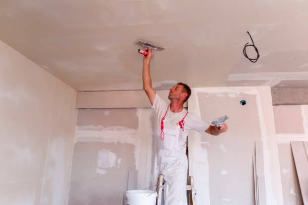 Best Fire-Damaged Drywall Repair  in Broomall, PA